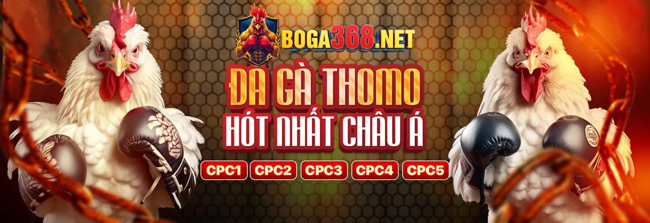 Hình ảnh chính Tin tức f8bet90