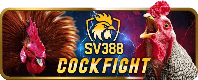 Ưu đãi chào mừng thành viên mới đá gà f8bet90